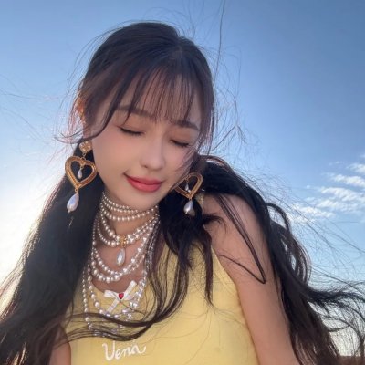 翼龙